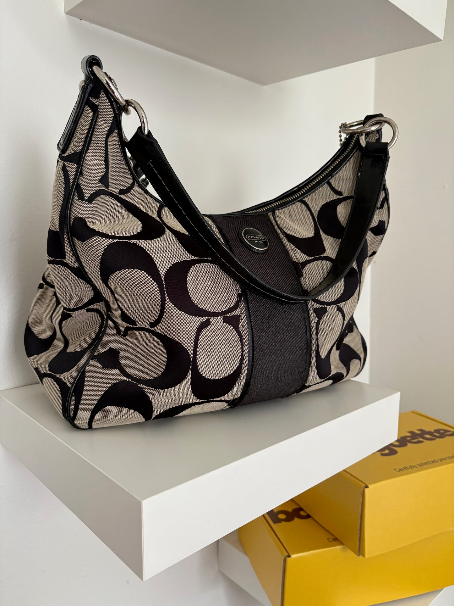 Coach Signature Canvas Hobo Bag Y2K