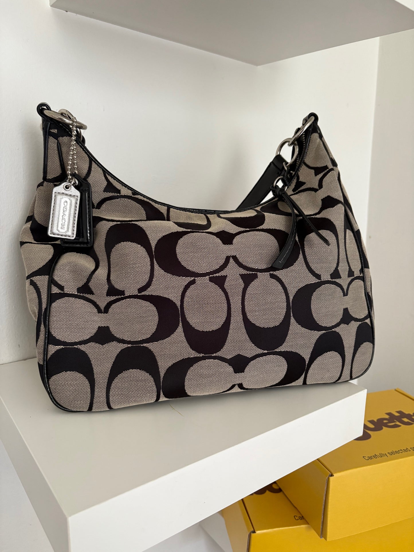 Coach Signature Canvas Hobo Bag Y2K